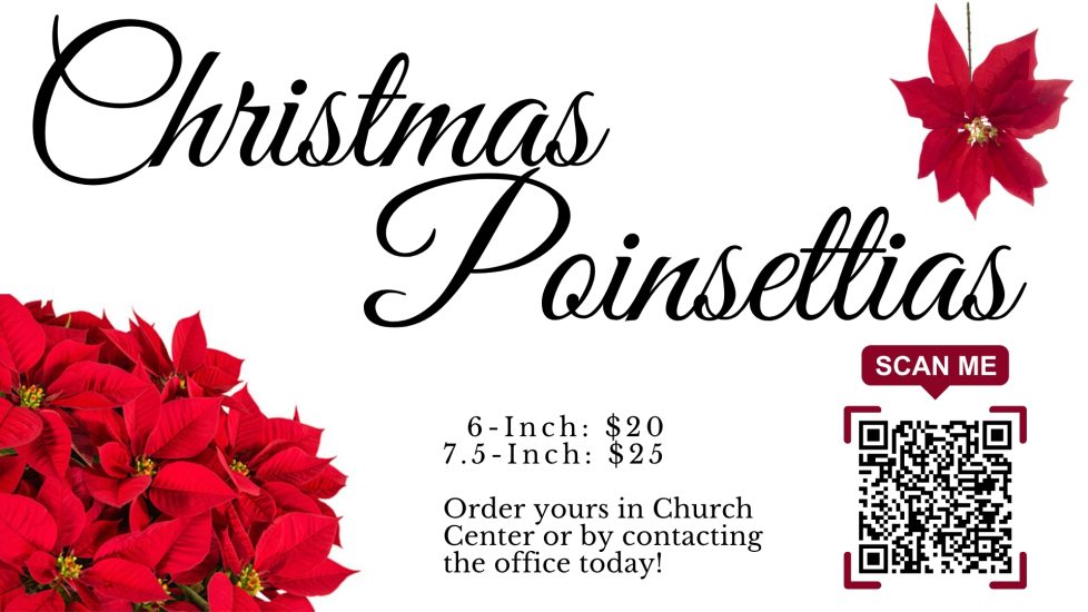 Poinsettias 2025 - Slide